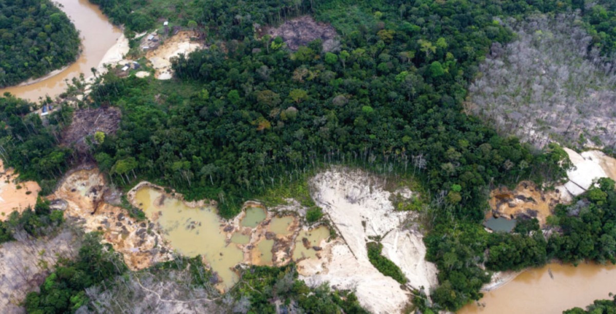 White-collar miners: who is devastating the Amazon?